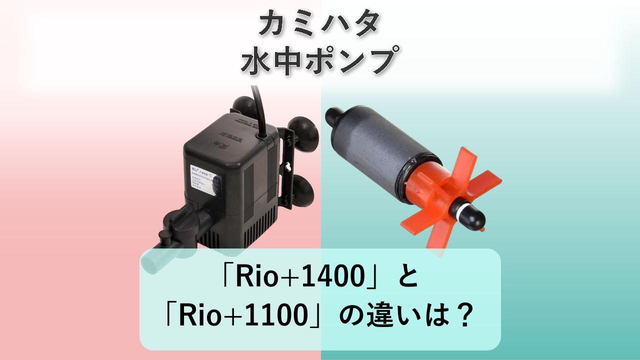 「Rio+1400」と「Rio+1100」の違いは?【カミハタ 水中ポンプ】