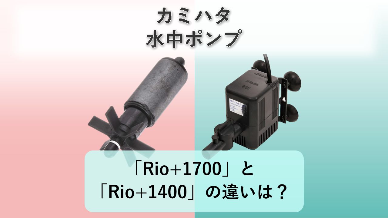 「Rio+1700」と「Rio+1400」の違いは?【カミハタ 水中ポンプ】