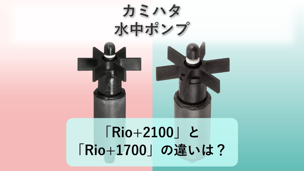 「Rio+2100」と「Rio+1700」の違いは?【カミハタ 水中ポンプ】