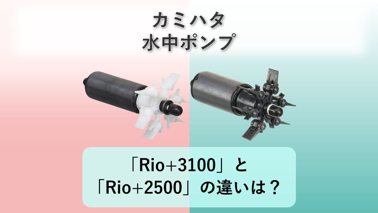 「Rio+3100」と「Rio+2500」の違いは？【カミハタ 水中ポンプ】