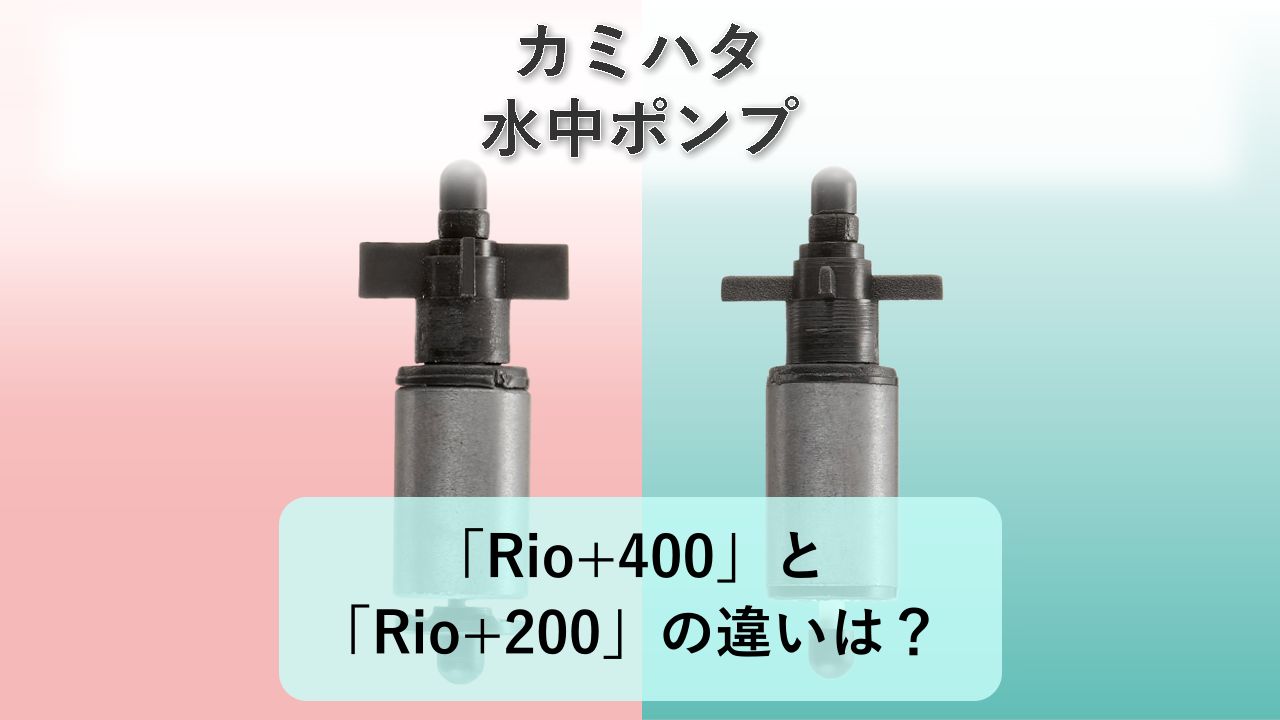 「Rio+400」と「Rio+200」の違いは？【カミハタ 水中ポンプ】