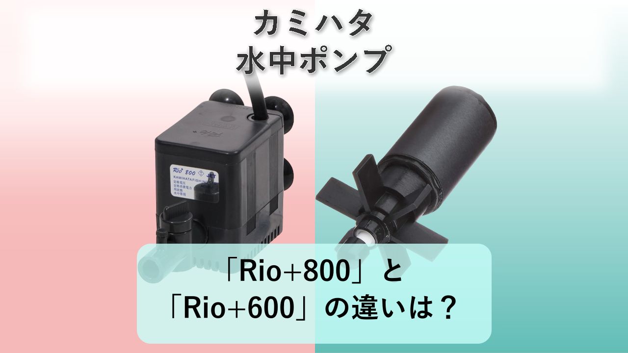 「Rio+800」と「Rio+600」の違いは？【カミハタ 水中ポンプ】