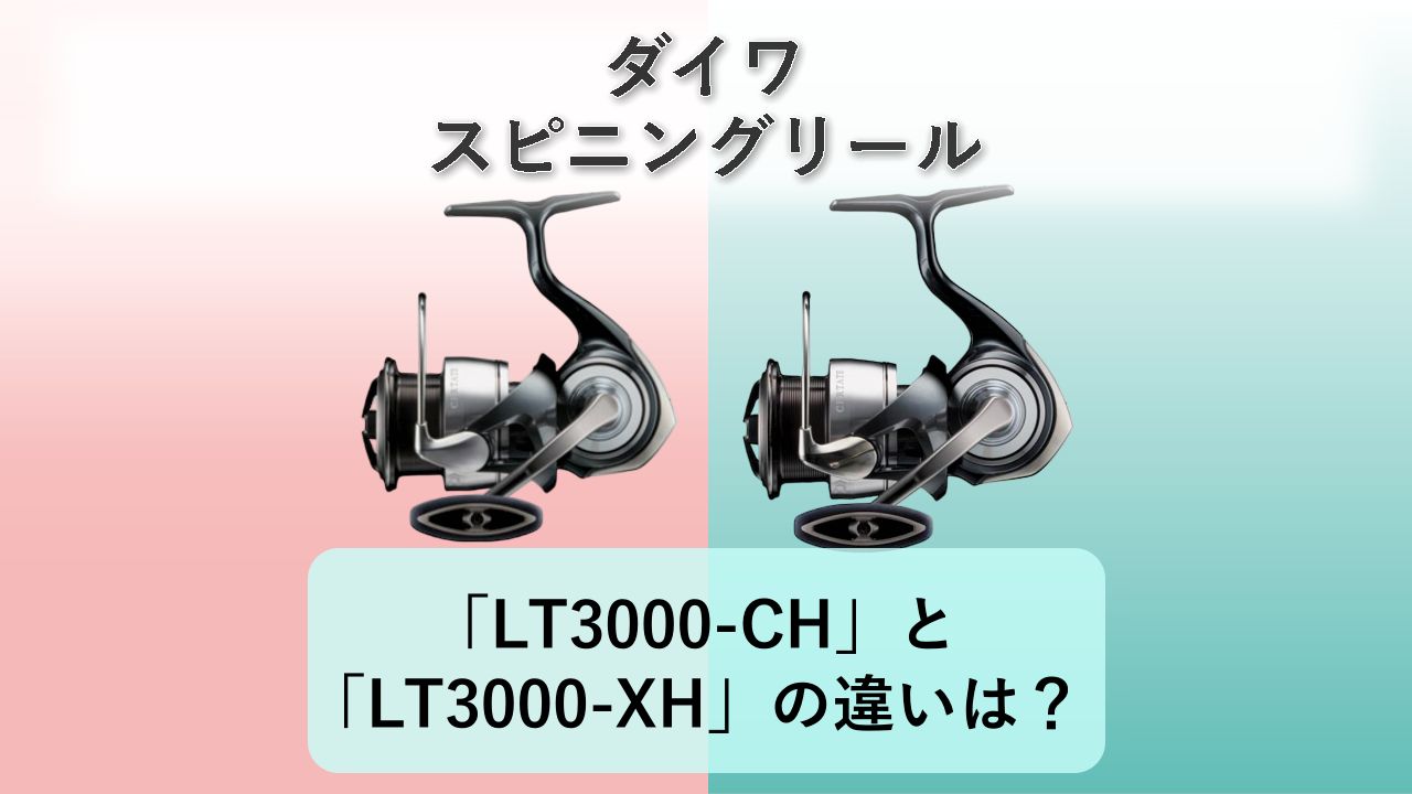 「LT3000-CH」と「LT3000-XH」の違いは？【ダイワ スピニングリール】