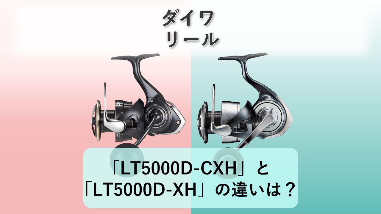 「LT5000D-CXH」と「LT5000D-XH」の違いは？【ダイワ リール】
