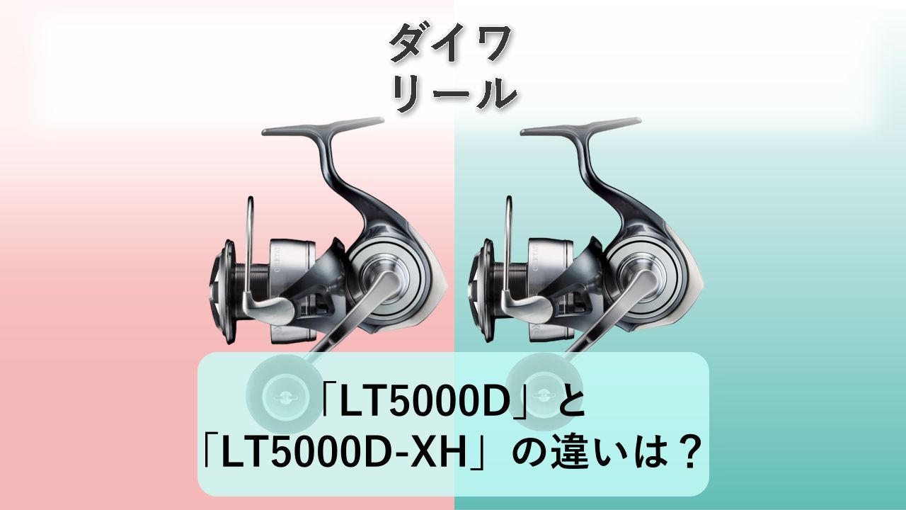 「LT5000D」と「LT5000D-XH」の違いは？【ダイワ リール】