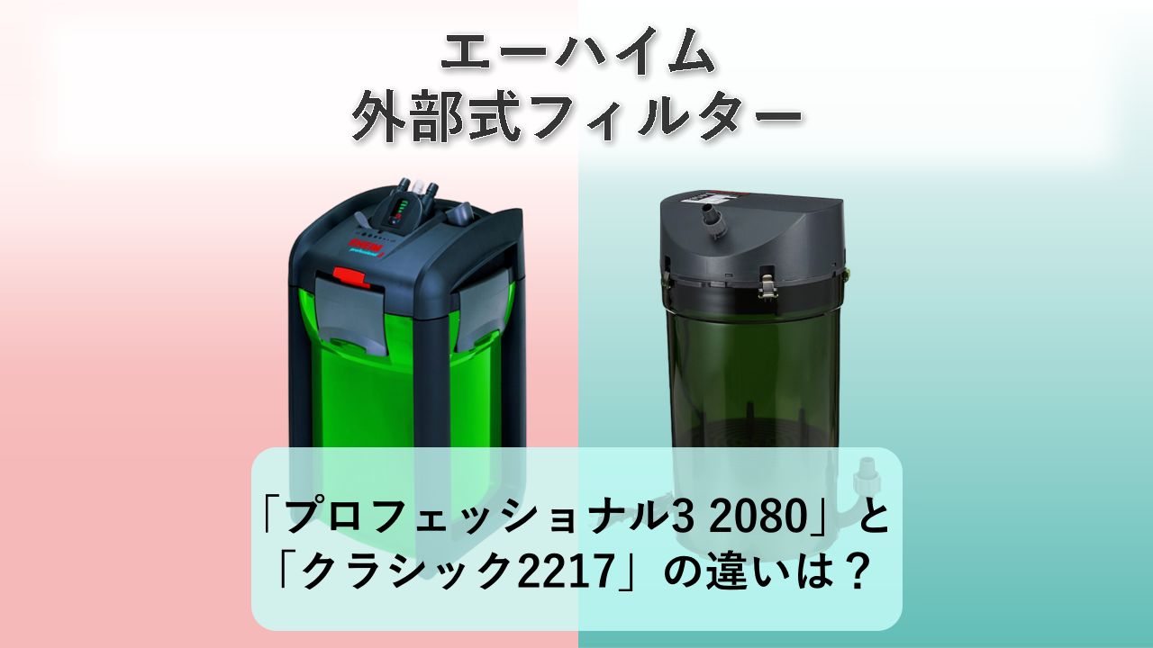 「プロフェッショナル3 2080」と「クラシック2217」の違いは?【エーハイム 外部式フィルター】