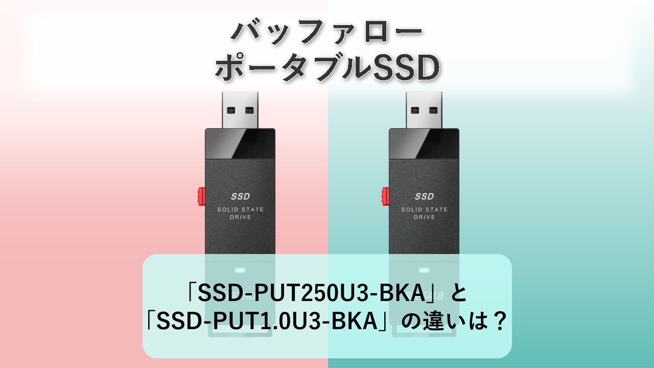 「SSD-PUT250U3-BKA」と「SSD-PUT1.0U3-BKA」の違いは?【バッファロー ポータブルSSD】