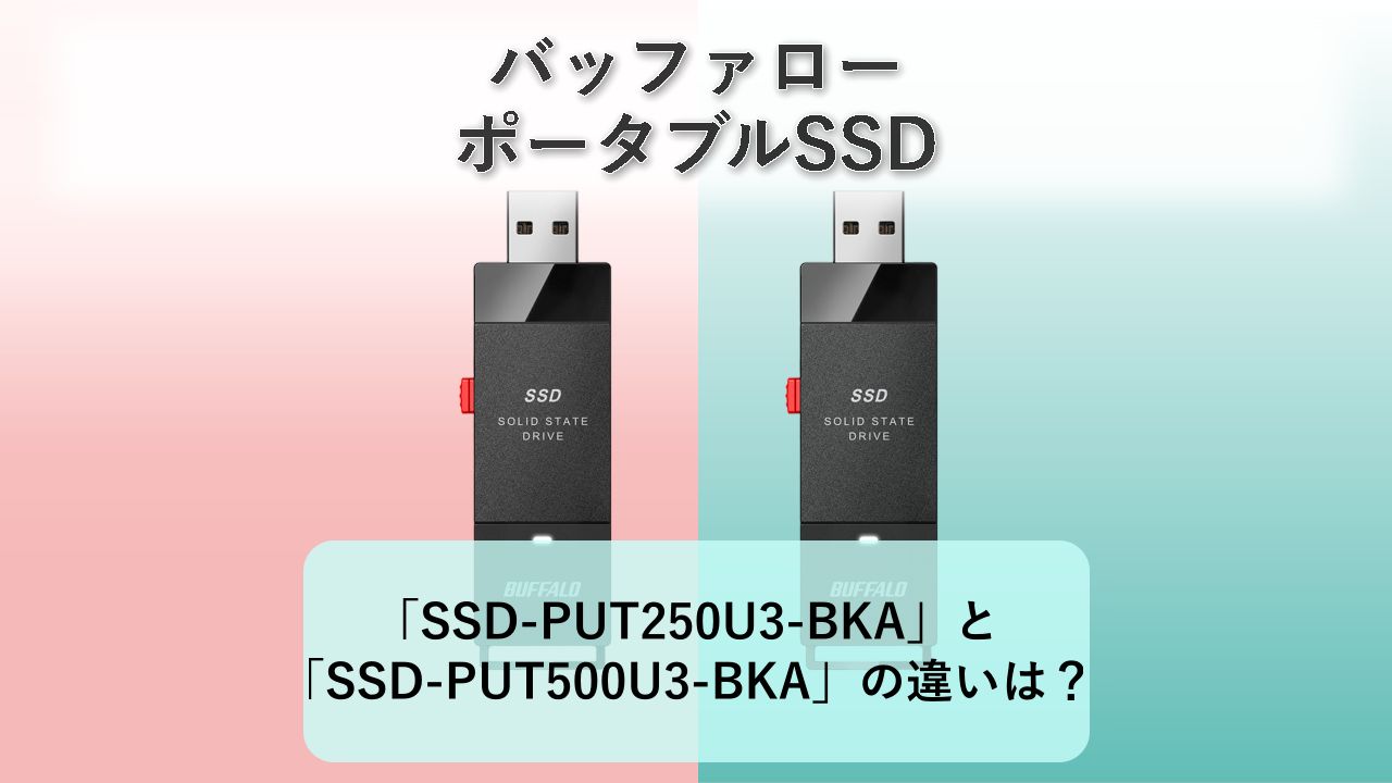 「SSD-PUT250U3-BKA」と「SSD-PUT500U3-BKA」の違いは?【バッファロー ポータブルSSD】