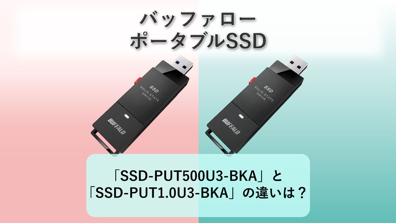 「SSD-PUT500U3-BKA」と「SSD-PUT1.0U3-BKA」の違いは?【バッファロー ポータブルSSD】