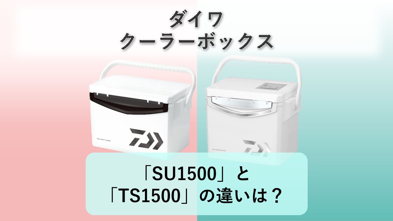 「SU1500」と「TS1500」の違いは?【ダイワ クーラーボックス】