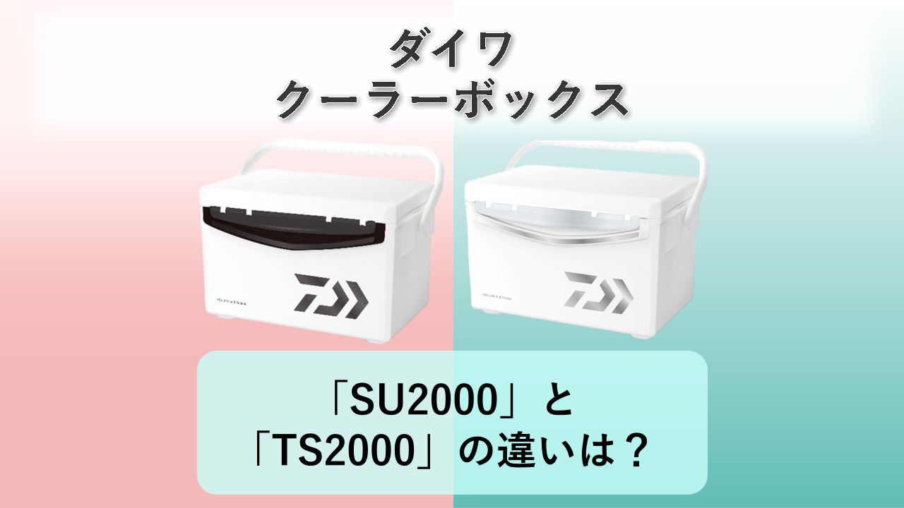 「SU2000」と「TS2000」の違いは？【ダイワ クーラーボックス】