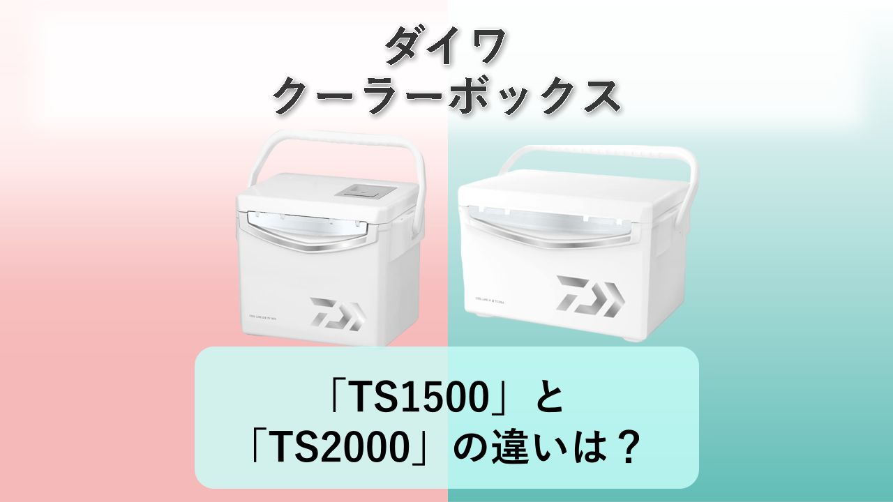 「TS1500」と「TS2000」の違いは?【ダイワ クーラーボックス】